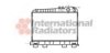 VAN WEZEL 06002043 Radiator, engine cooling